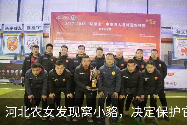 河北农女发现窝小貉，决定保护它们的栖息地